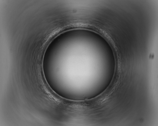 X0000116160625200911231405