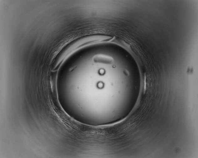 X0000116160626200911231405