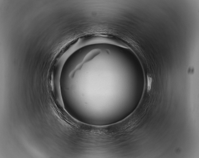 X0000116160627200911231405