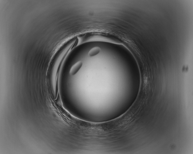 X0000116160628200911231405