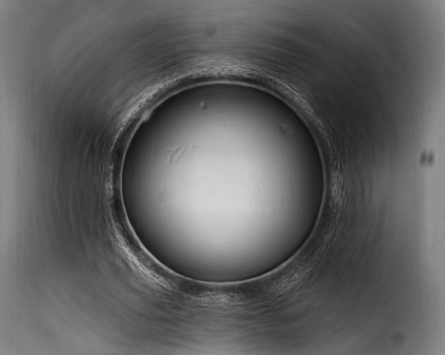 X0000116160629200911231405