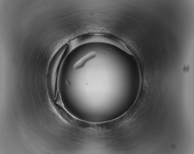 X0000116160630200911231405