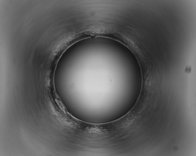 X0000116160635200911231406
