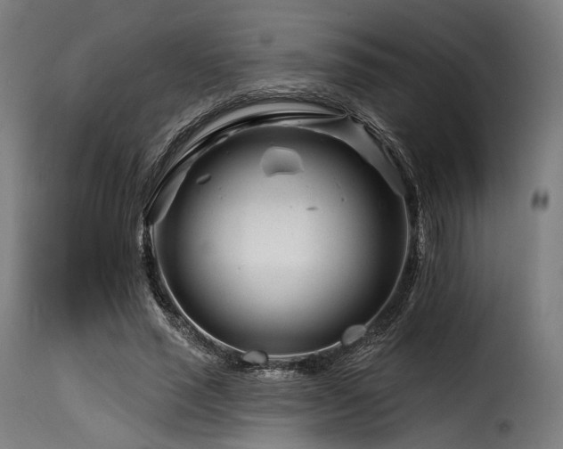 X0000116160637200911231406
