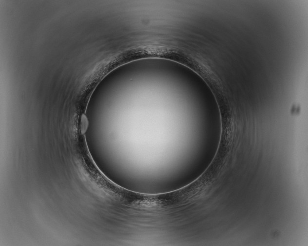 X0000116160639200911231406