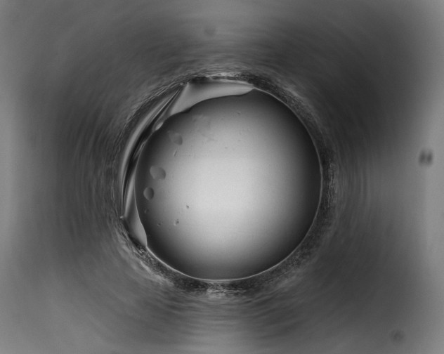 X0000116160641200911231406