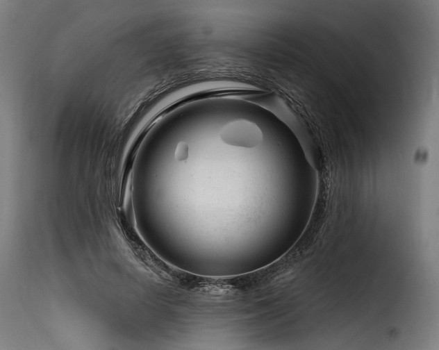 X0000116160642200911231406