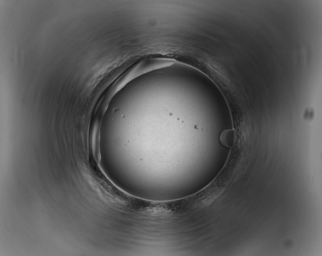 X0000116160644200911231406