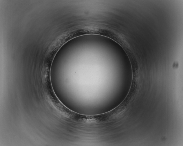 X0000116160645200911231406