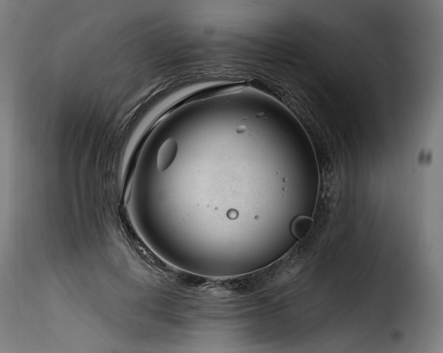 X0000116160648200911231406