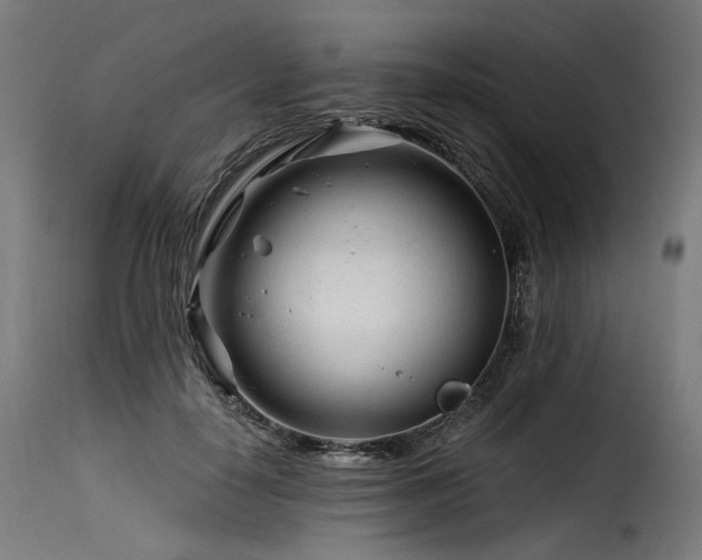 X0000116160650200911231406