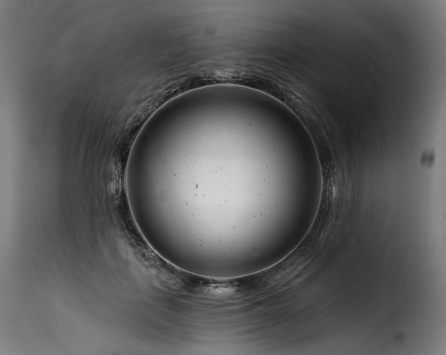 X0000116160651200911231406