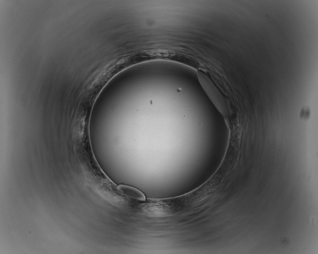 X0000116160652200911231406