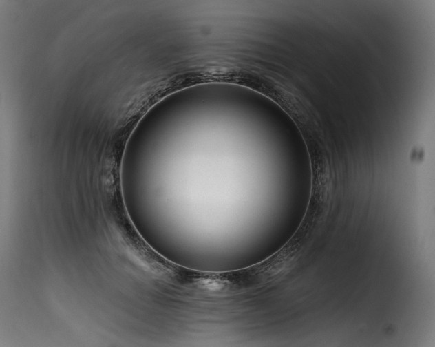 X0000116160654200911231406