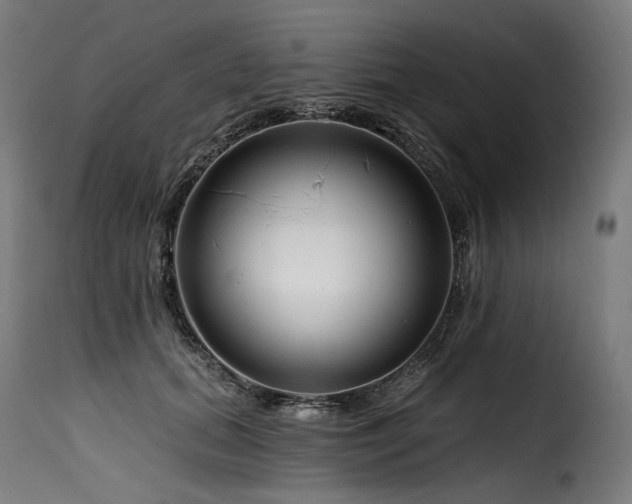 X0000116160655200911231406