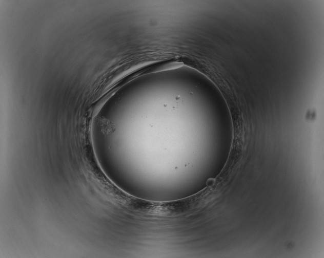 X0000116160656200911231406