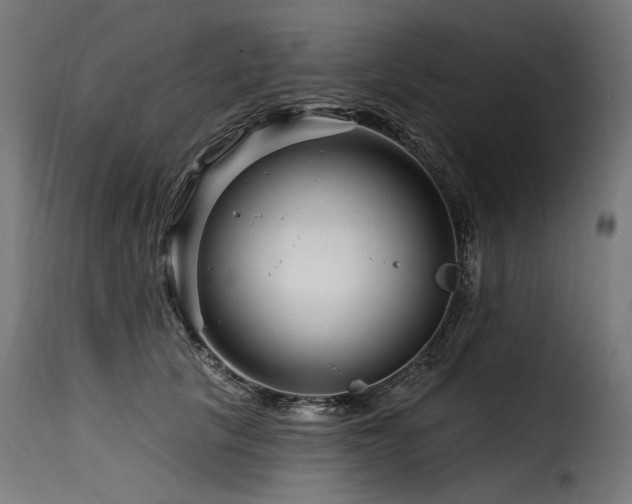 X0000116160657200911231406