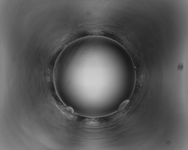 X0000116160658200911231406