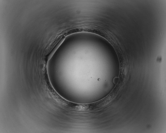 X0000116160660200911231406