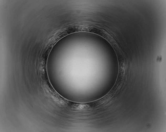 X0000116160663200911231406