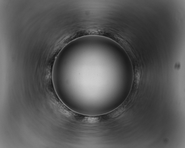 X0000116160665200911231406