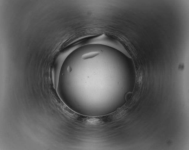 X0000116160669200911231406