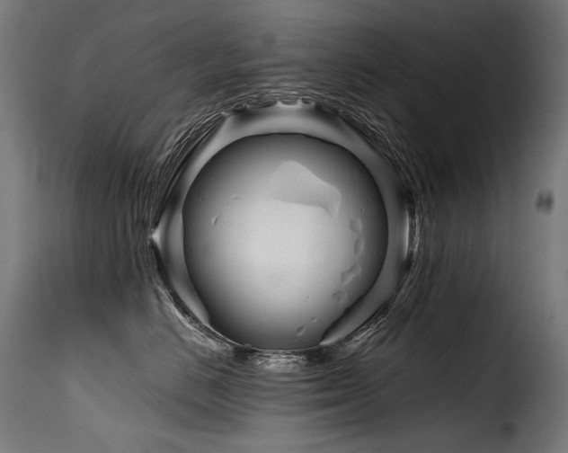 X0000116160670200911231406