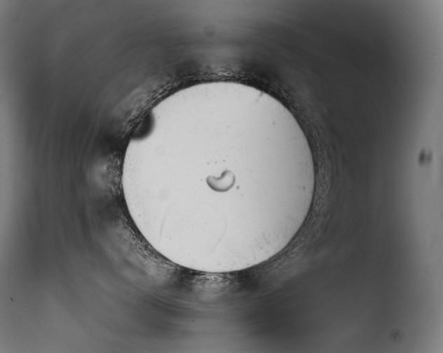 X0000116160672200911231406