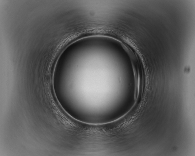 X0000116160673200911231405