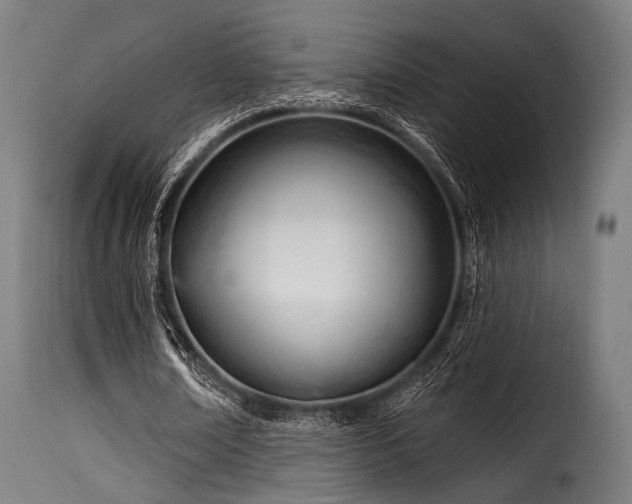 X0000116160674200911231405