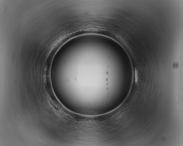 X0000116160675200911231405