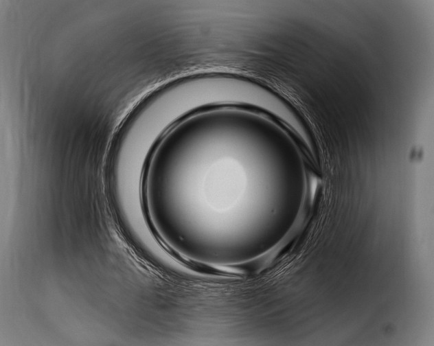 X0000116160676200911231405