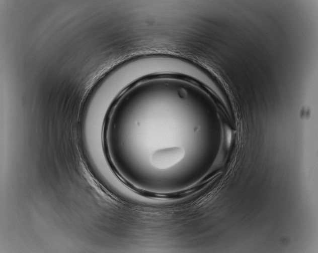 X0000116160677200911231405