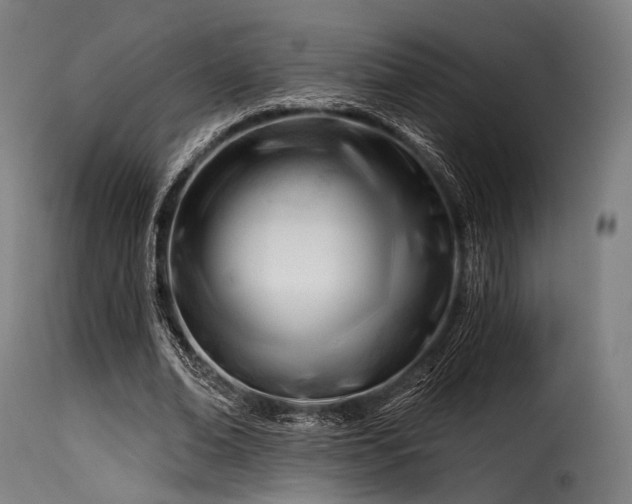 X0000116160678200911231405