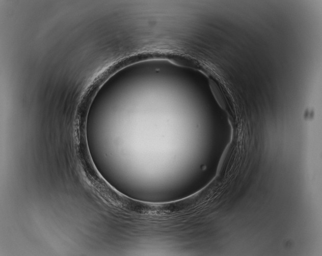 X0000116160680200911231405