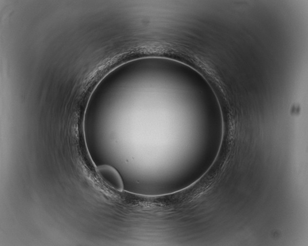 X0000116160681200911231405