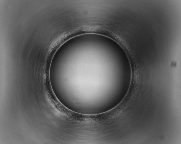 X0000116160682200911231405