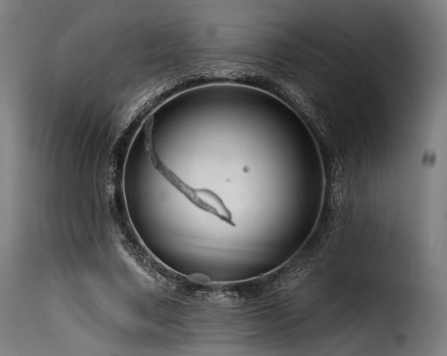 X0000116160683200911231405