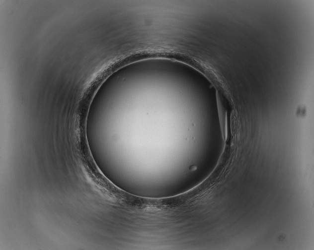 X0000116160684200911231405