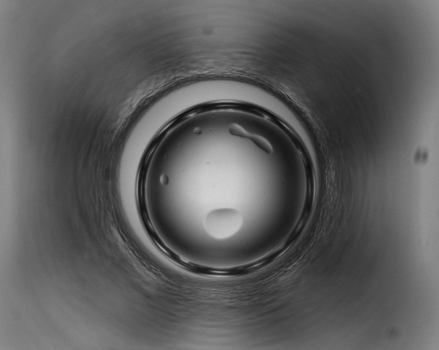 X0000116160685200911231405