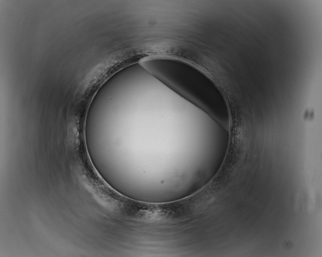 X0000116160688200911231405
