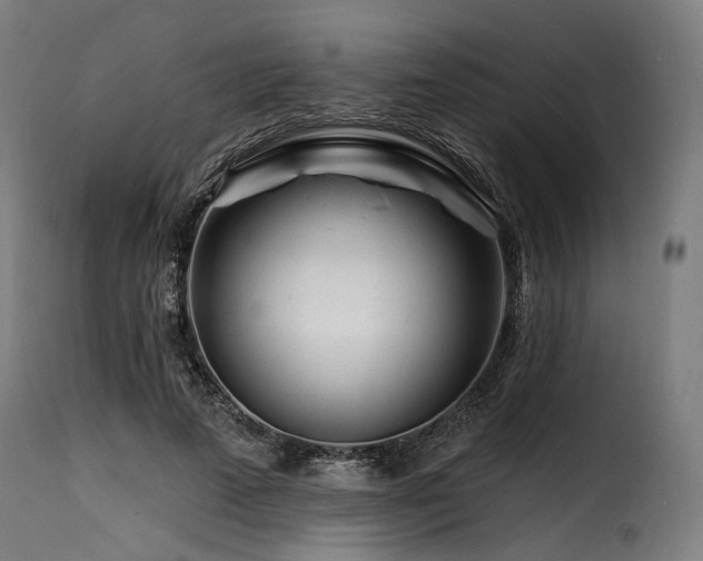 X0000116160689200911231405
