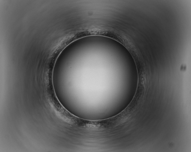X0000116160690200911231405