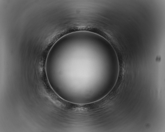 X0000116160691200911231405