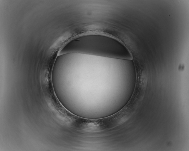 X0000116160692200911231405