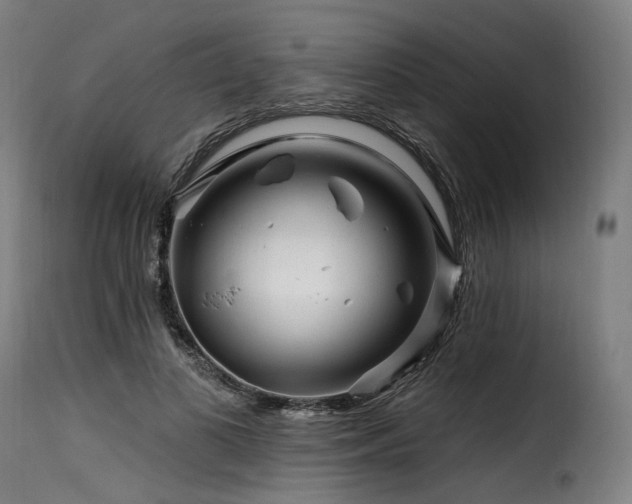 X0000116160693200911231405