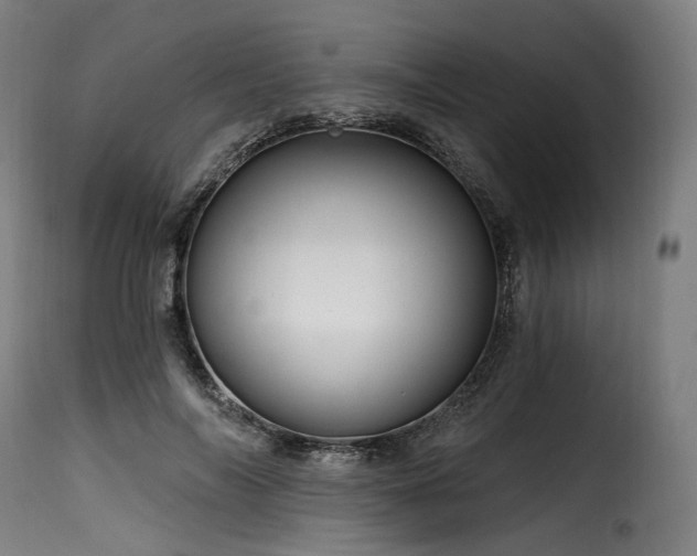 X0000116160694200911231405