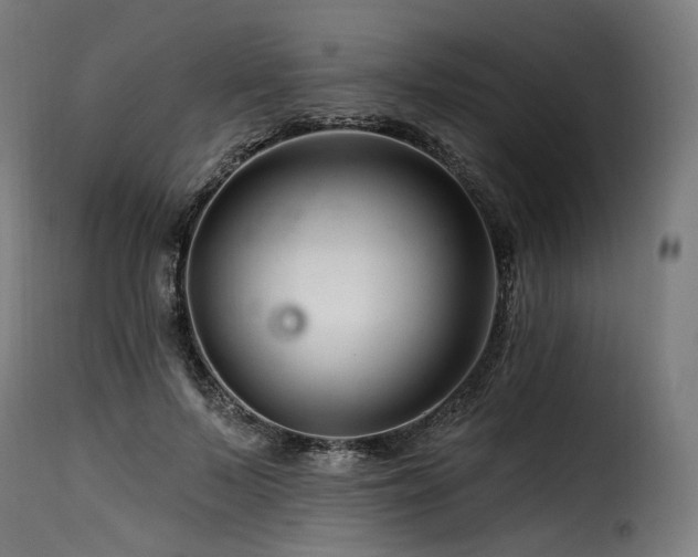 X0000116160695200911231405