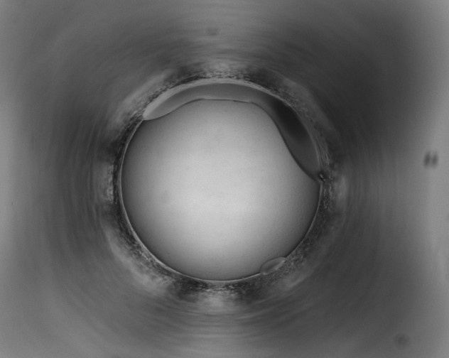X0000116160696200911231405