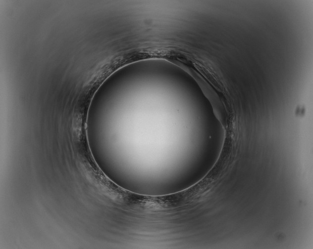 X0000116160697200911231405